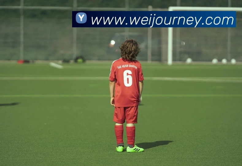 互动解说服务